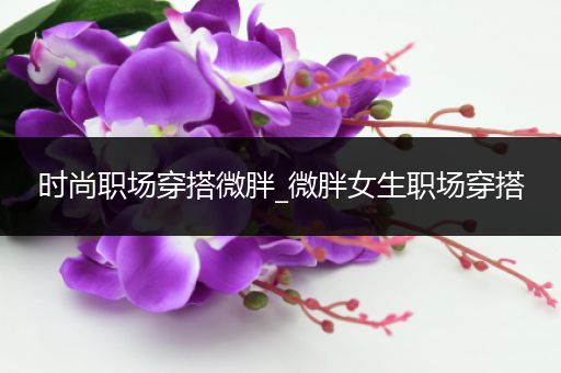 时尚职场穿搭微胖_微胖女生职场穿搭