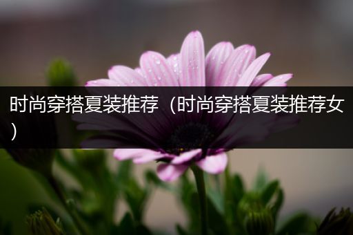 时尚穿搭夏装推荐（时尚穿搭夏装推荐女）