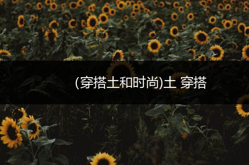 （穿搭土和时尚)土 穿搭