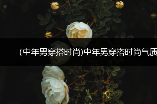 （中年男穿搭时尚)中年男穿搭时尚气质