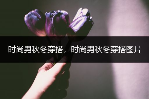 时尚男秋冬穿搭，时尚男秋冬穿搭图片