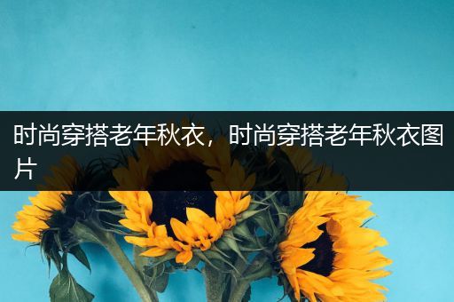 时尚穿搭老年秋衣，时尚穿搭老年秋衣图片