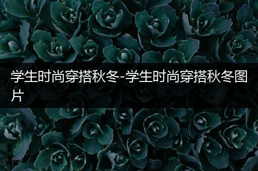 学生时尚穿搭秋冬-学生时尚穿搭秋冬图片