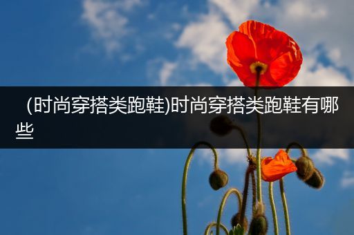 （时尚穿搭类跑鞋)时尚穿搭类跑鞋有哪些