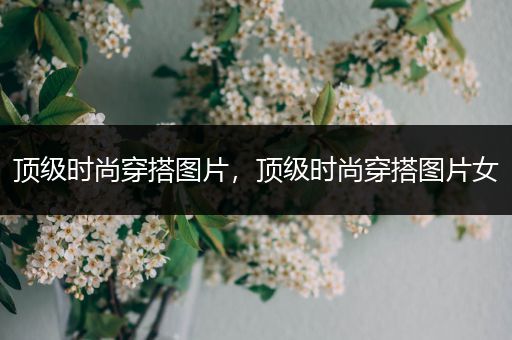 顶级时尚穿搭图片，顶级时尚穿搭图片女