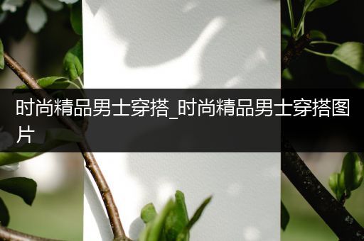 时尚精品男士穿搭_时尚精品男士穿搭图片