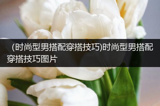 （时尚型男搭配穿搭技巧)时尚型男搭配穿搭技巧图片