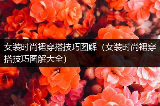 女装时尚裙穿搭技巧图解（女装时尚裙穿搭技巧图解大全）