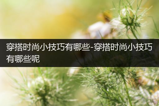 穿搭时尚小技巧有哪些-穿搭时尚小技巧有哪些呢