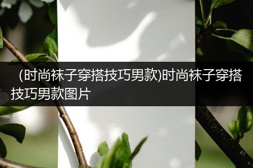 （时尚袜子穿搭技巧男款)时尚袜子穿搭技巧男款图片