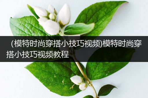 （模特时尚穿搭小技巧视频)模特时尚穿搭小技巧视频教程