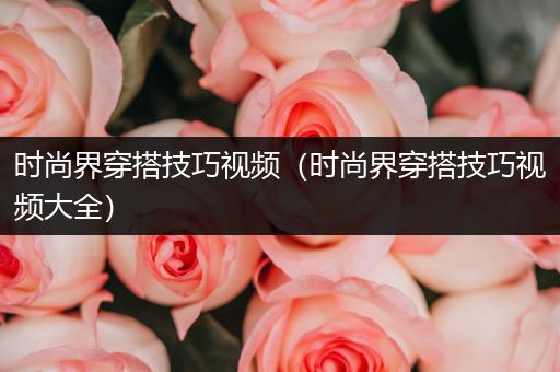 时尚界穿搭技巧视频（时尚界穿搭技巧视频大全）