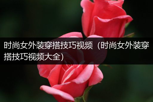 时尚女外装穿搭技巧视频（时尚女外装穿搭技巧视频大全）